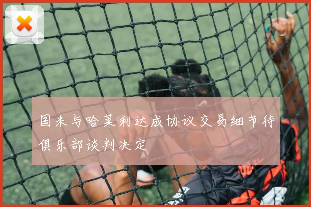 国米与哈莱利达成协议交易细节待俱乐部谈判决定